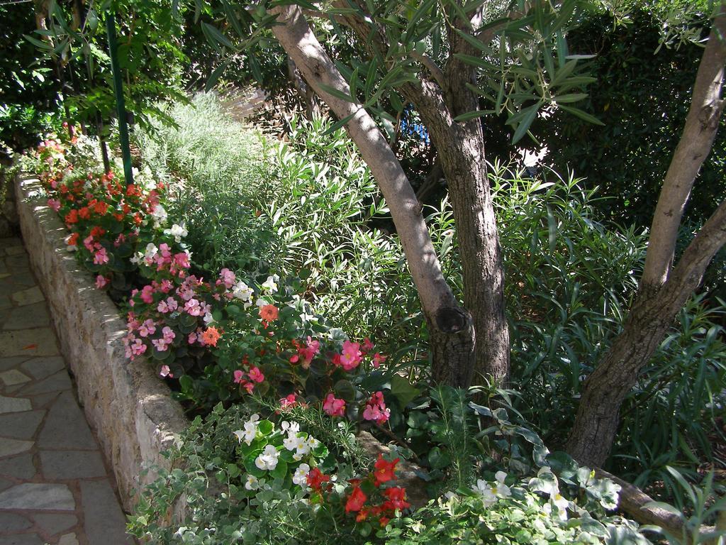 קרק Apartments Dunoti מראה חיצוני תמונה